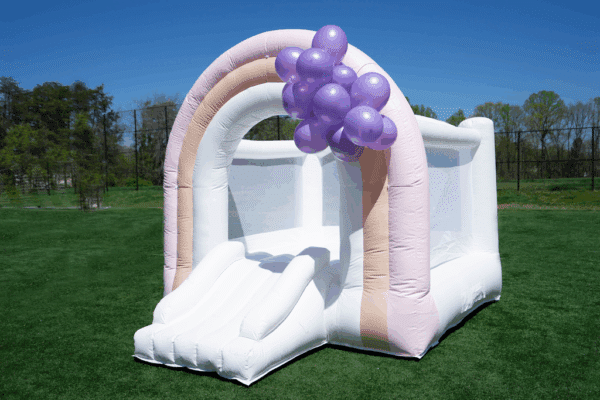 05. Rainbow Wonder Bouncer